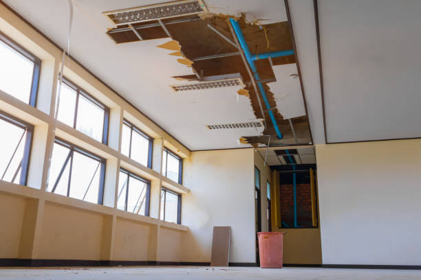 Best Basement water damage restoration  in Cortland, OH
