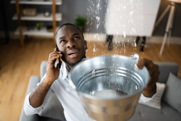 Best Local water damage restoration  in Cortland, OH