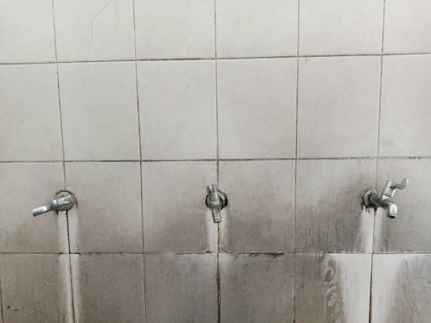 Best Flooded house restoration  in Cortland, OH