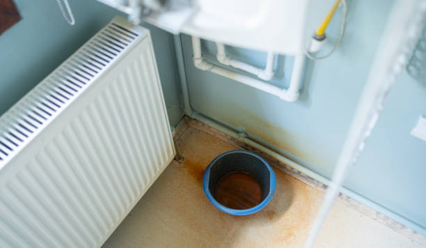Best Water damage restoration near me  in Cortland, OH