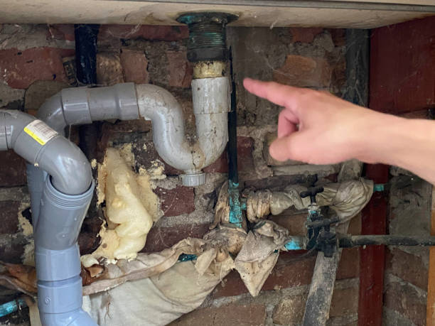 Best Professional water damage repair  in Cortland, OH