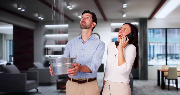 Best Water damage mitigation services  in Cortland, OH